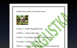 Idiomy, powiedzenia i zwroty związane z kotami. DZIEŃ KOTA!