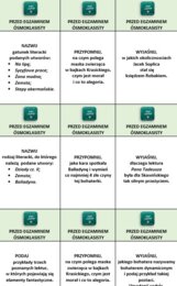 POWTÓRKI PRZED EGZAMINEM ÓSMOKLASISTY/DIAGNOZA NA STARCIE W LICEUM (TECHNIKUM)