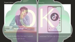 Expectations vs. Reality: Wielkie Starcie z Gramatyką (32 slajdy)