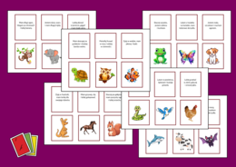 🎴 Gra edukacyjna „Karuta – Zwierzęta” - memory - kalambury - 72 fiszki