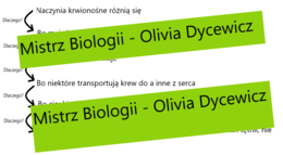 5x dlaczego - myślenie krytyczne - Naczynia krwionośne
