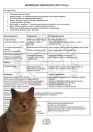 Wystarczająco dobra notatka syntetyzująca