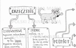 Typy orzeczeń i podmiotów