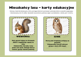 Mieszkańcy lasu – karty edukacyjne| Międzynarodowy Dzień Lasu