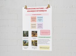 Plakaty. Ekologia i jej znaczenie. Ochrona przyrody, Różnorodność biologiczna, Zagrożone gatunki