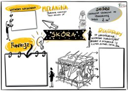 Klasa 7 Skóra. Karta pracy.