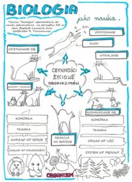 Biologia jako nauka - sketchnotka - biologia klasa 5