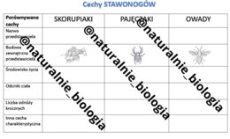 Cechy stawonogów - tabelka