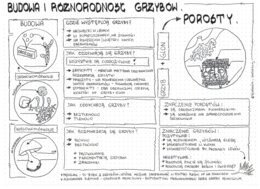 Klasa 5 - Budowa i różnorodność grzybów - pakiet