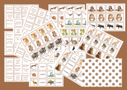 Past simple irregular verbs game.