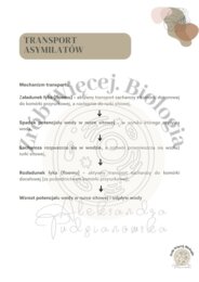 Biologia do matury - karty pracy z fizjologii roślin