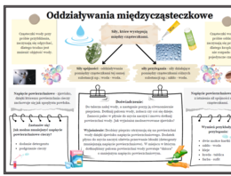 Oddziaływania międzycząsteczkowe - siły spójności i przylegania. (fizyka SP)