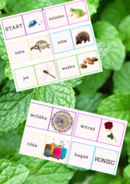 Domino ortograficzne - ż