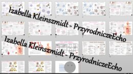Zestaw sketchnotek i kart pracy + gratisowe linki do prezentacji multimedialnych niekomercyjnych wykonanych w genial.ly do indywidualnego pobrania i użycia do celów niekomercyjnych. Biologia 7, „Układ pokarmowy”