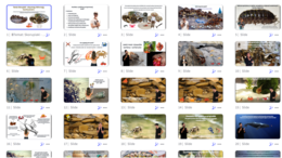 Prezentacja multimedialna w genial.ly „ Skorupiaki - stawonogi, które mają twardy pancerz” – do edycji i pobrania – biologia klasa VI, dział III – temat 2