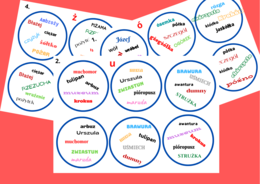 DOOBLE ortografia kl.4-8