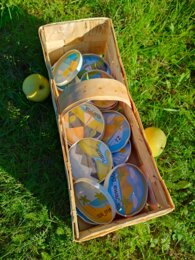 Memory ortografia "rz", "ż" - wakacje