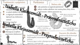 Sketchnotka - notatka „Pierścienice – zwierzęta, które mają segmentowane ciało” wykonana w power point do edycji. Biologia 6; „Od parzydełkowców do pierścienic”