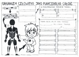 Klasa 7 - Organizm człowieka jako funkcjonalna całość - karta pracy