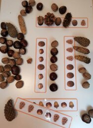 Sekwencje - dary jesieni