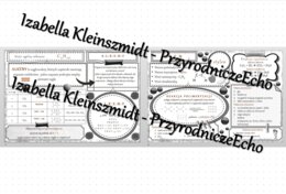 Sketchnotka - notatka „Alkeny. Eten” wykonana w power point do edycji. Chemia 8, „Węglowodory”