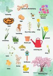 Spring Picture Dictionary