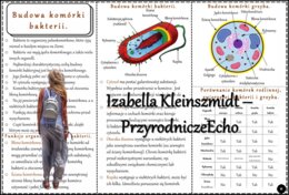 Książeczka/sketchnotka/notatka/wklejka/ściąga dla ucznia i przypomnienie dla nauczyciela/edukacja domowa. Temat „Budowa komórki bakterii” w pdf. Biologia 5, dział „Budowa i czynności życiowe organizmów”. Nowość 2024/2025.