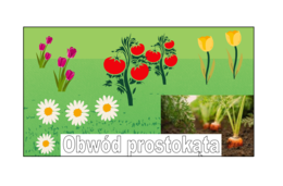 Obwód prostokąta - super pomysł na kreatywną lekcję klasa 3/ klasa 4/ klasa 5