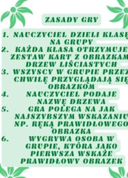 Szybkie rączki - drzewa liściaste