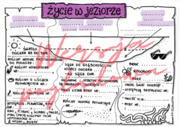 Życie w jeziorze -przyroda kl. 4