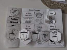 Lapbook wiosna