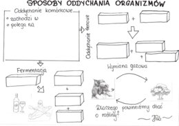 Sposoby oddychania organizmów (KP 1)