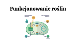 funkcjonowanie roślin KLASA 2 BIOLOGIA ROZSZERZONA