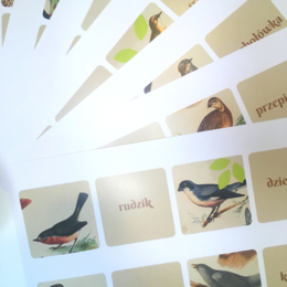 Ptasia ortografia - gra memory