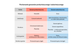 Genetyka molekularna 4 KLASA ROZSZERZENIE