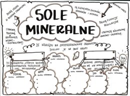 Klasa 7. Biologia. Budowa i rola mięśni (dwie karty pracy: kolorowa + do uzupełnienia)