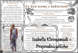 Sketchnotka/notatka/streszczenie/wklejka/ściąga dla ucznia i nauczyciela. Temat „Co dziś wiemy o bakteriach?” w pdf. Biologia 5 dział „Klasyfikacja i systematyka. Wirusy. Bakterie. Prostisty. Grzyby.”. Wykonana na podstawie podręcznika z wydawnictwa WSiP