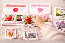 Jagodowe kolory – karty do segregowania