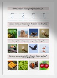 F i f. Karta pracy. Sprawdzian