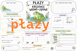Płazy - notatka do uzupełnienia dla uczniów