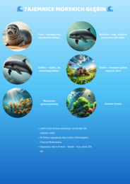 Plakaty ilustrujące różne ekosystemy. Las, morze, łąka. Gatunki chronione.