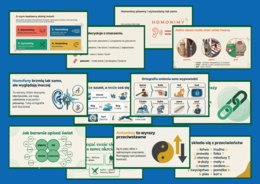 📚✨ Homonimy, antonimy, synonimy, homofony – SŁOWNICTWO - prezentacja – 16 slajdów