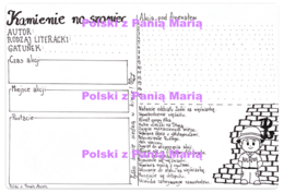 Kamienie na szaniec - pakiet lekturowy