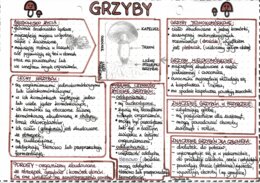 Grzyby - kolor (klasa 5)