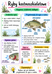 Notatki, które uczą – biologia klasa 6