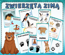 ZESTAW ZWIERZĘTA ZIMĄ, PTAKI ZIMĄ,