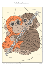 Małe serce -wielkie uczucia - karta pracy + klucz odpowiedzi