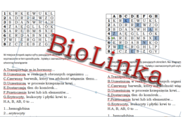 Kodowanka dla klasy 7 na podsumowanie lekcji o budowie i funkcjach krwi