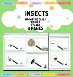 Insects through the magnifying glass 6 cards Insekty/ owady w lupce powiększającej. Zgadywanka. Usprawnianie logicznego myślenia i spostrzegawczości.