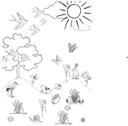 WIOSNA KOLOROWANKA XXL